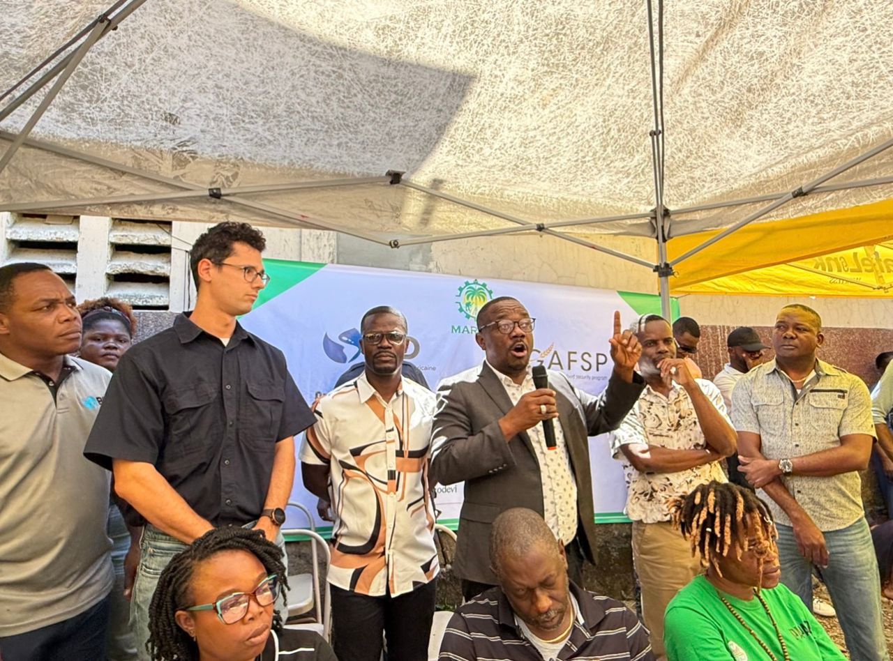 Une foire aux intrants agricoles lancée à Limbé pour dynamiser la campagne de printemps Une foire aux intrants agricoles lancée à Limbé pour dynamiser la campagne de printemps